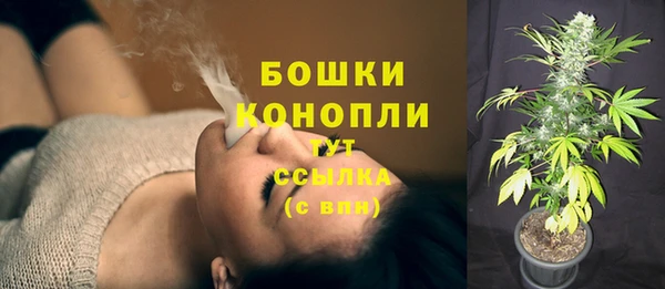 шишки Лабытнанги