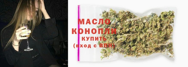 шишки Лабытнанги