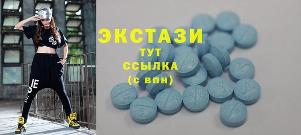 шишки Лабытнанги