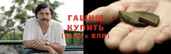 шишки Лабытнанги