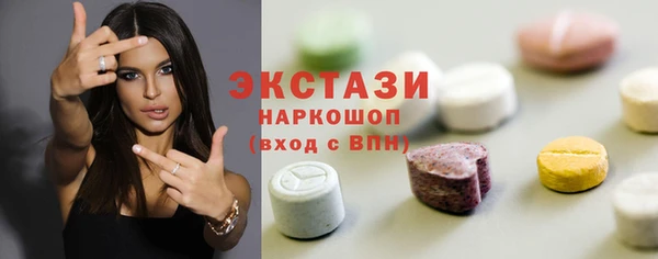 шишки Лабытнанги