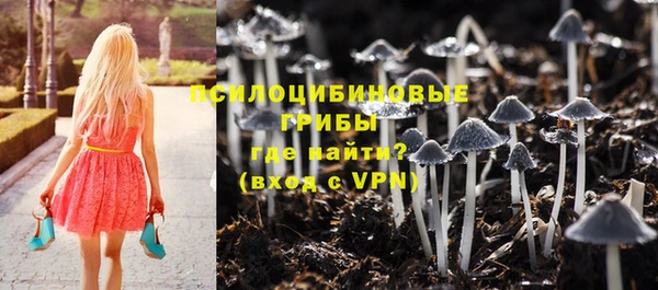 героин Кукмор