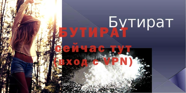 шишки Лабытнанги