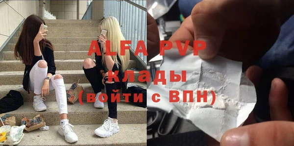 шишки Лабытнанги
