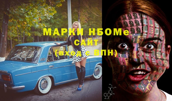 шишки Лабытнанги