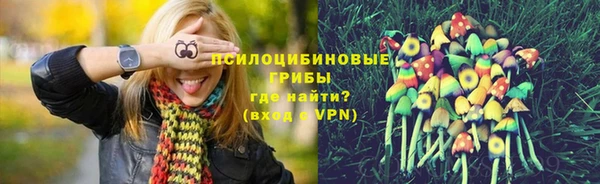 крисы Ладушкин