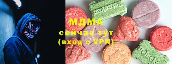 шишки Лабытнанги