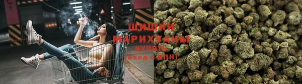 a pvp Павлово
