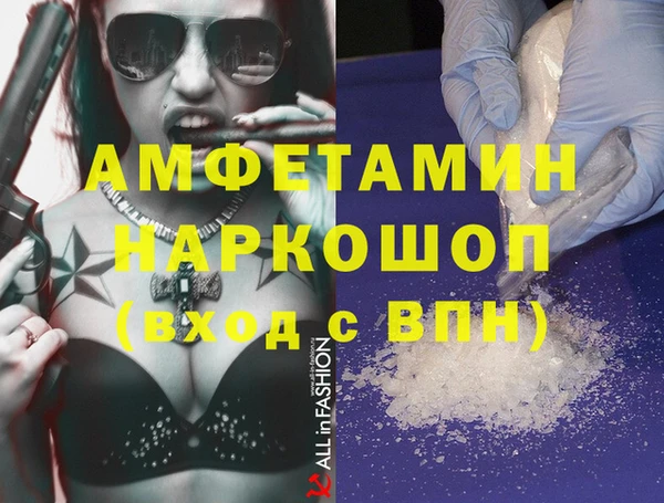 шишки Лабытнанги