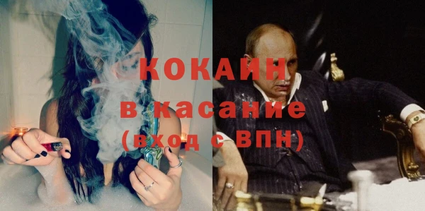 шишки Лабытнанги