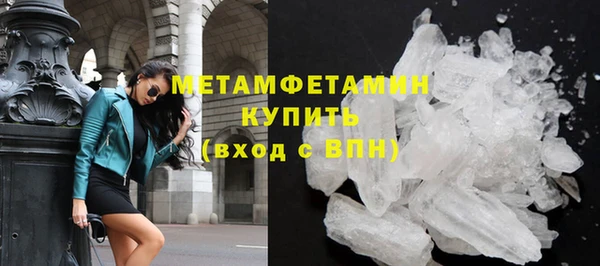 шишки Лабытнанги