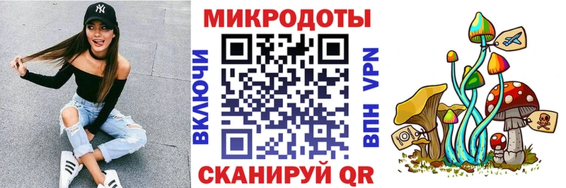 Псилоцибиновые грибы Psilocybe  Печоры 